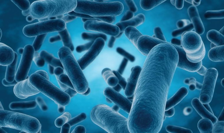 You Can Ensure Health Safety With Legionella Assessment