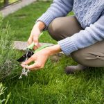 How to Maintain a Beautiful, Weed-Free Yard