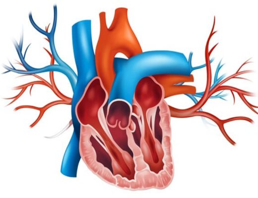 How Nicotine Affects You And Your Heart